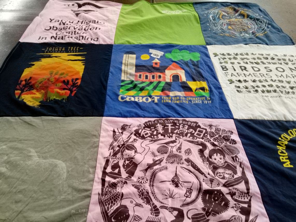 T-shirt quilt with farming, archaeology themes by Katie from NC