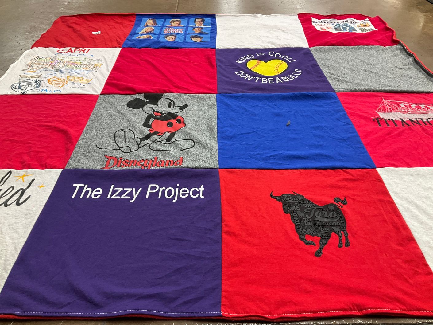 T-shirt quilt with disney, art themes by Molly from CA