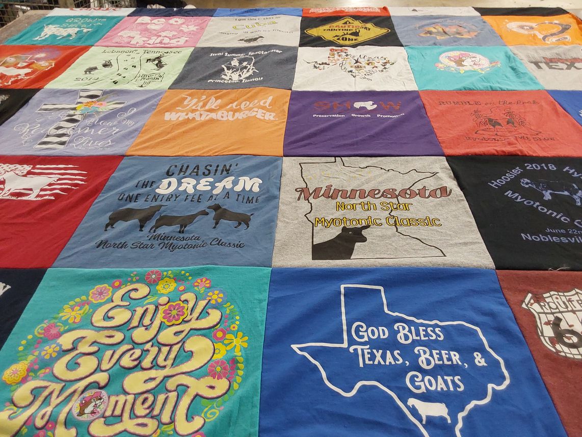 T-shirt quilt with myotonic goats themes by Janice from TX