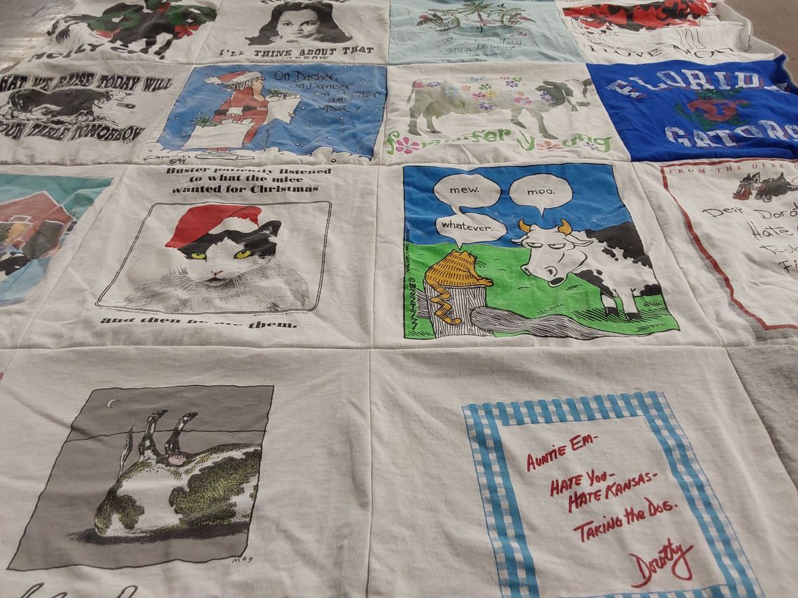 T-shirt quilt with cats, dogs themes by Kristin from SC