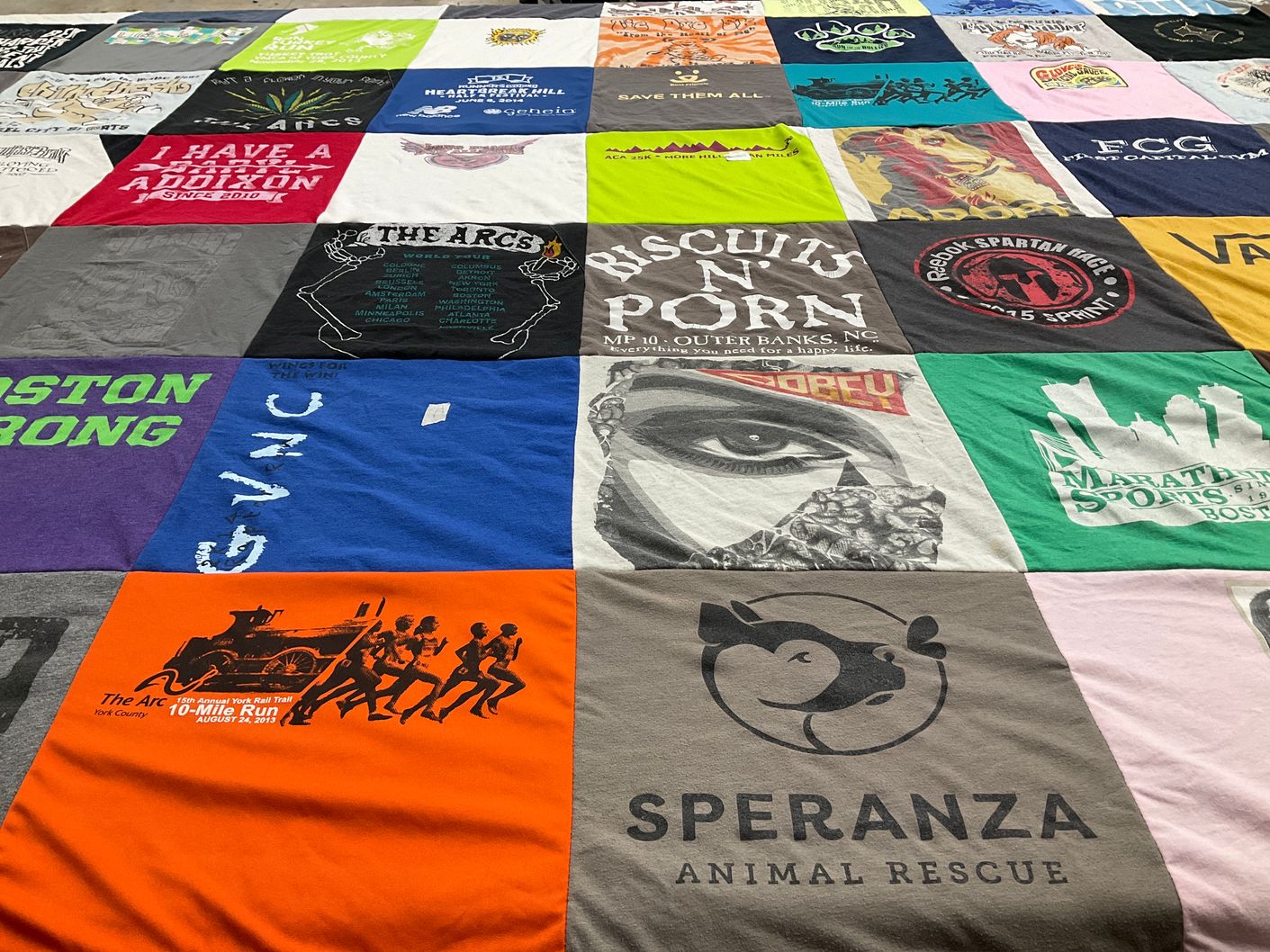 T-shirt quilt with running, animal rescue themes by Michelle from PA