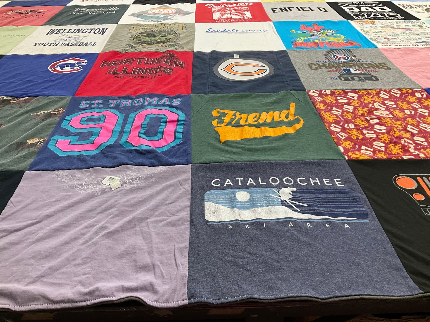 T-shirt quilt from northern illinois university, st thomas university by Lisa from NC