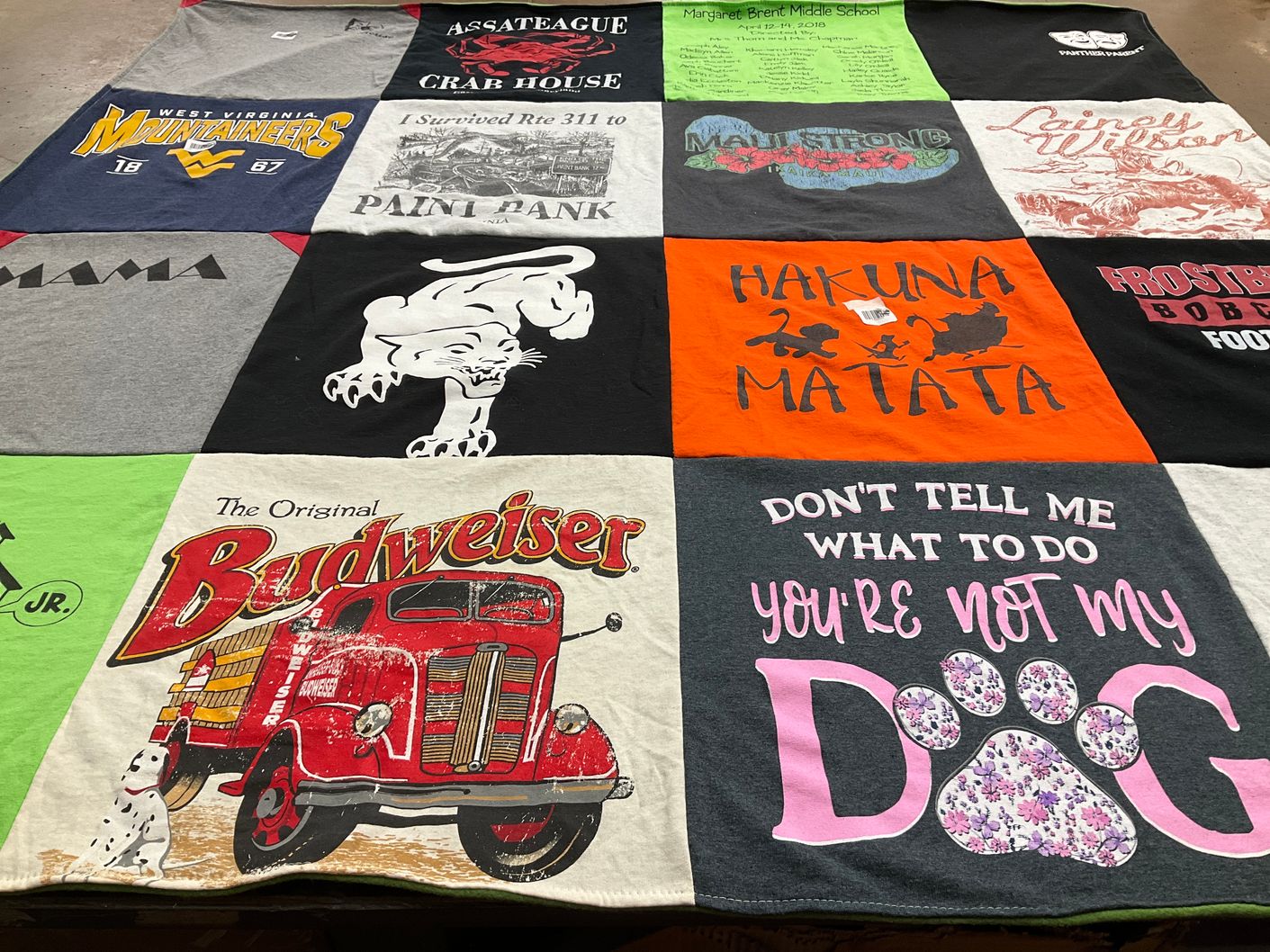 T-shirt quilt featuring west virginia mountaineers by Janice from NC