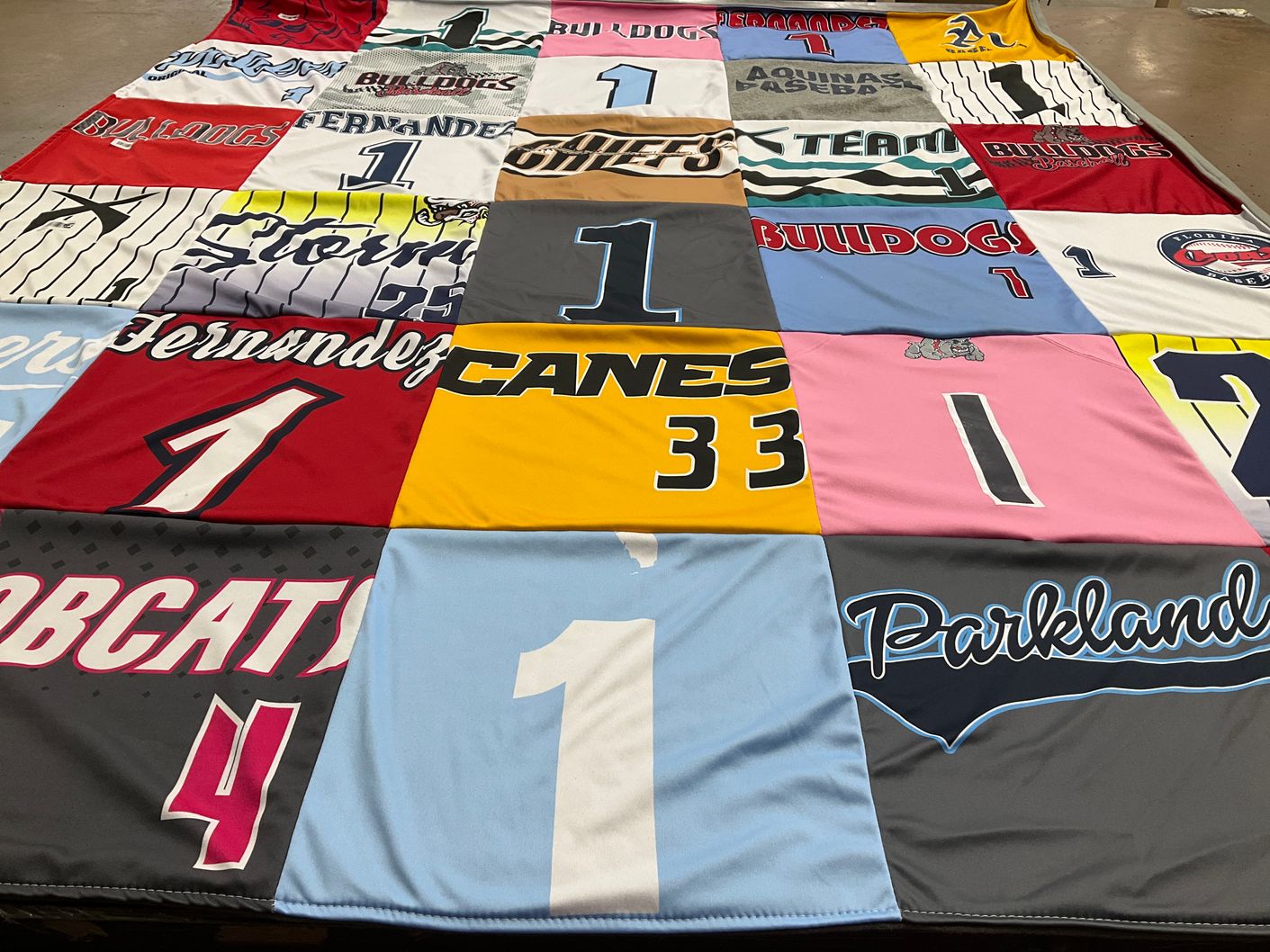 T-shirt quilt featuring bulldogs, bobcats by Liliane from FL