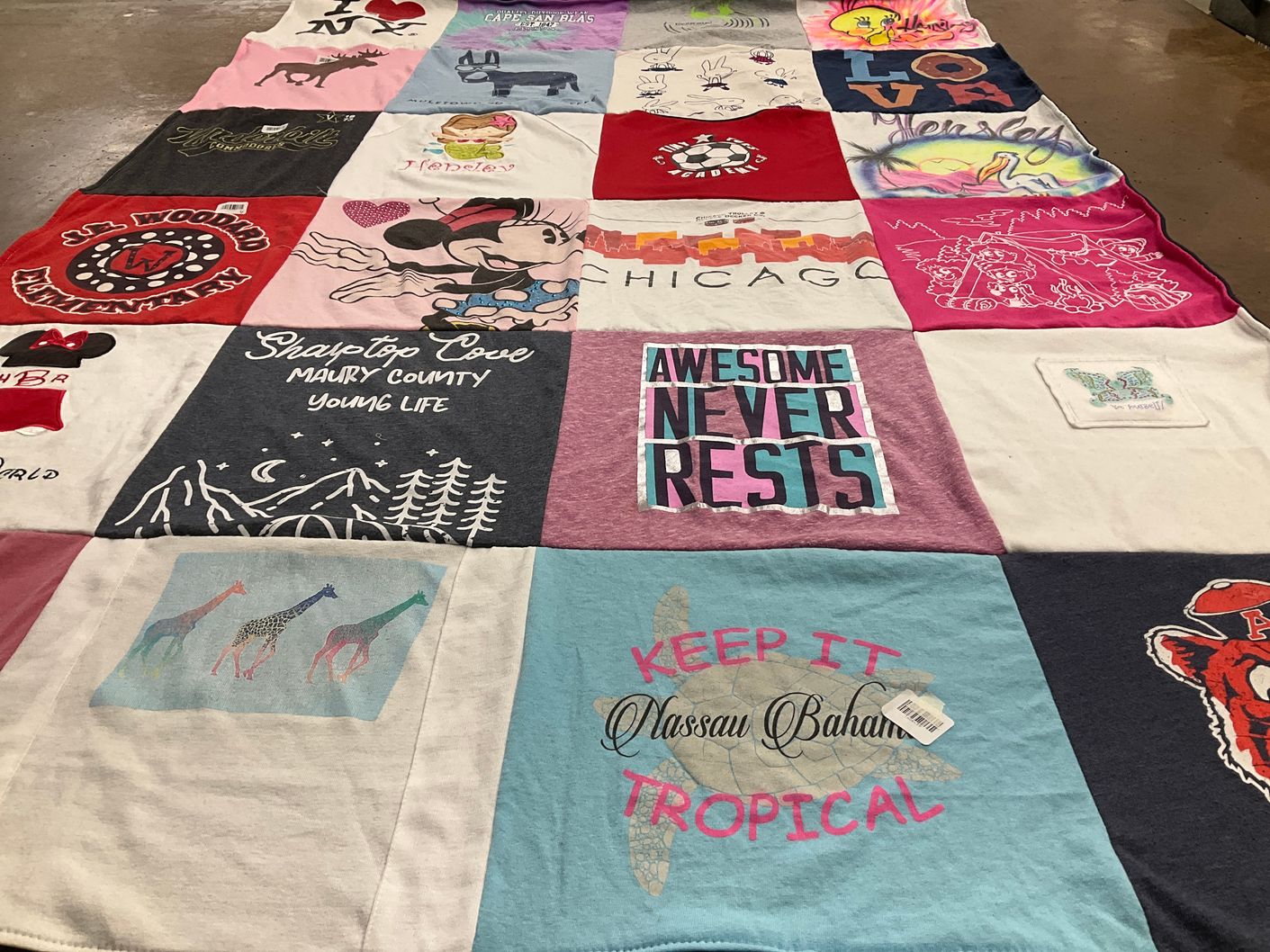 T-shirt quilt with travel, wildlife themes by Stephanie from TN
