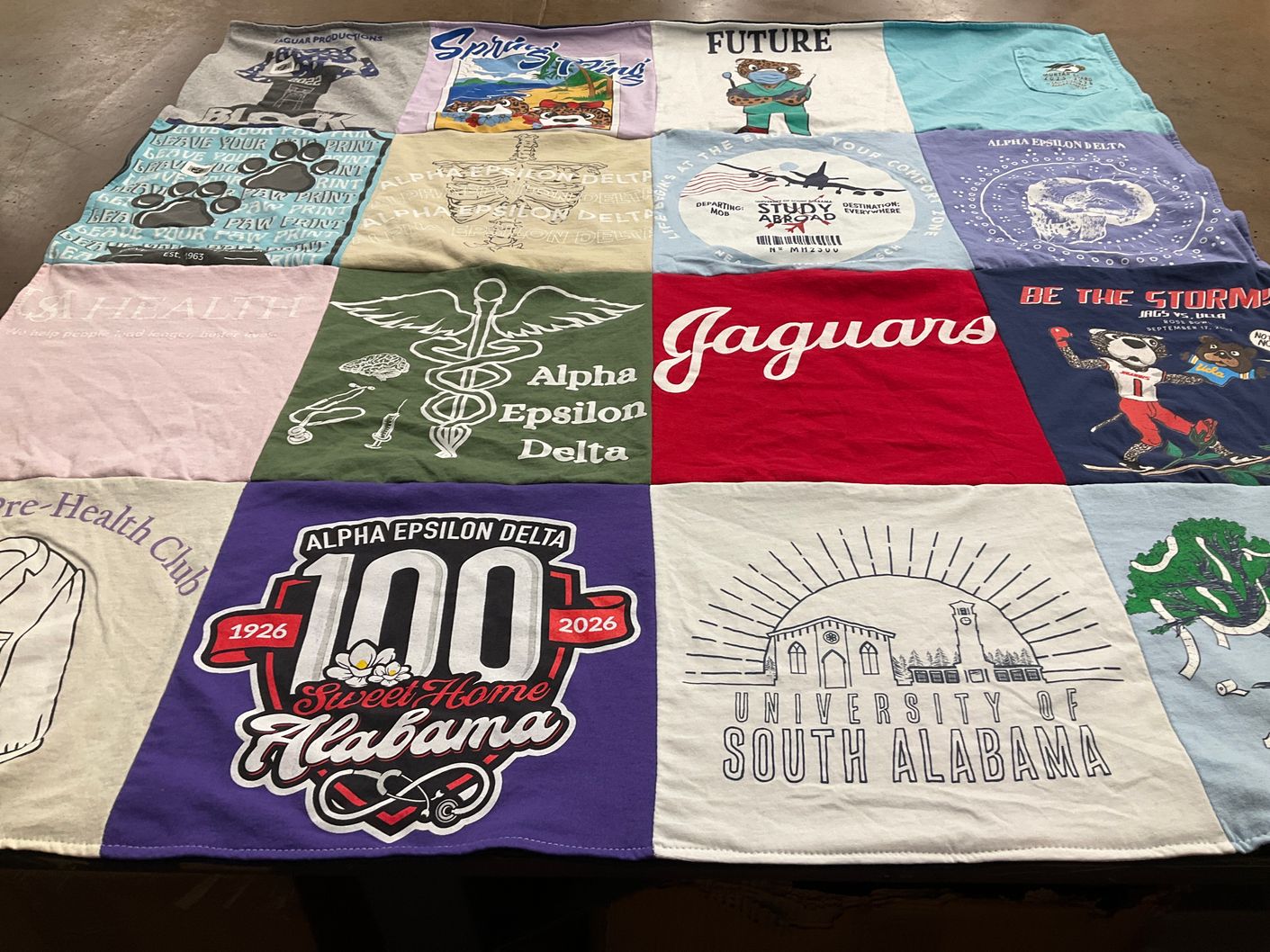 T-shirt quilt featuring jaguars by Paige from MS