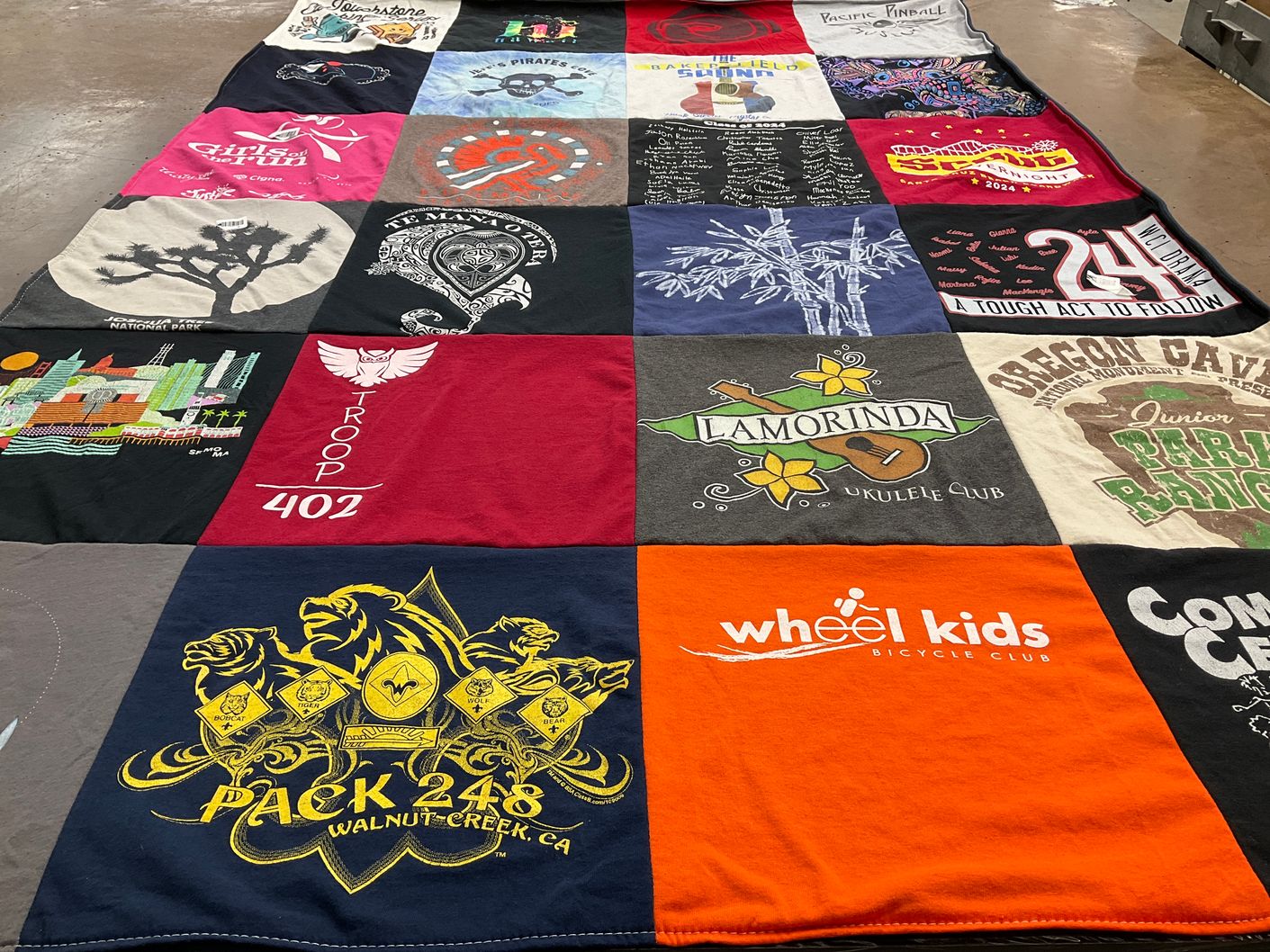T-shirt quilt with biking, ukulele themes by Jolene from CA