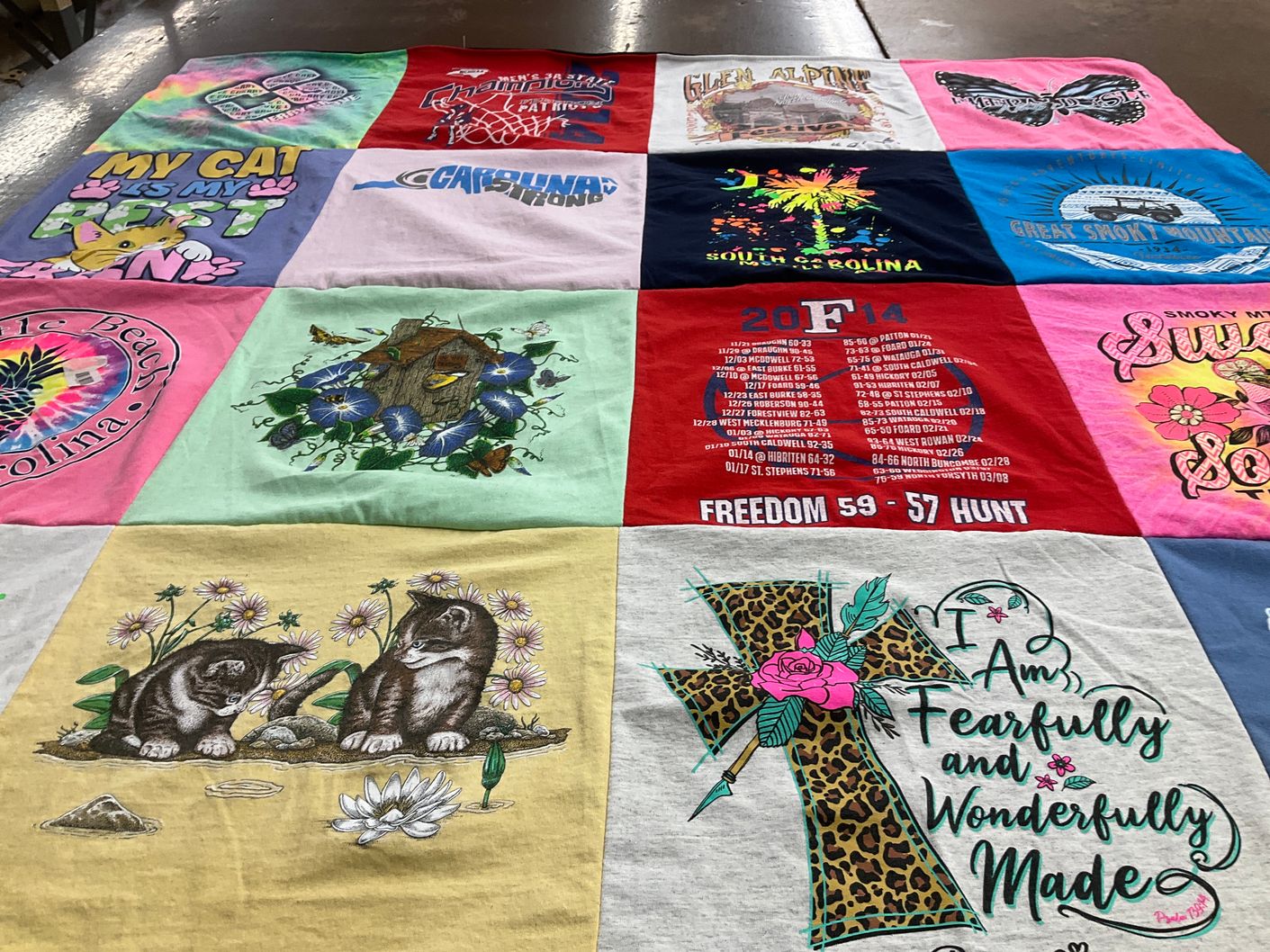 T-shirt quilt with cats, south carolina themes by Lauren from NC