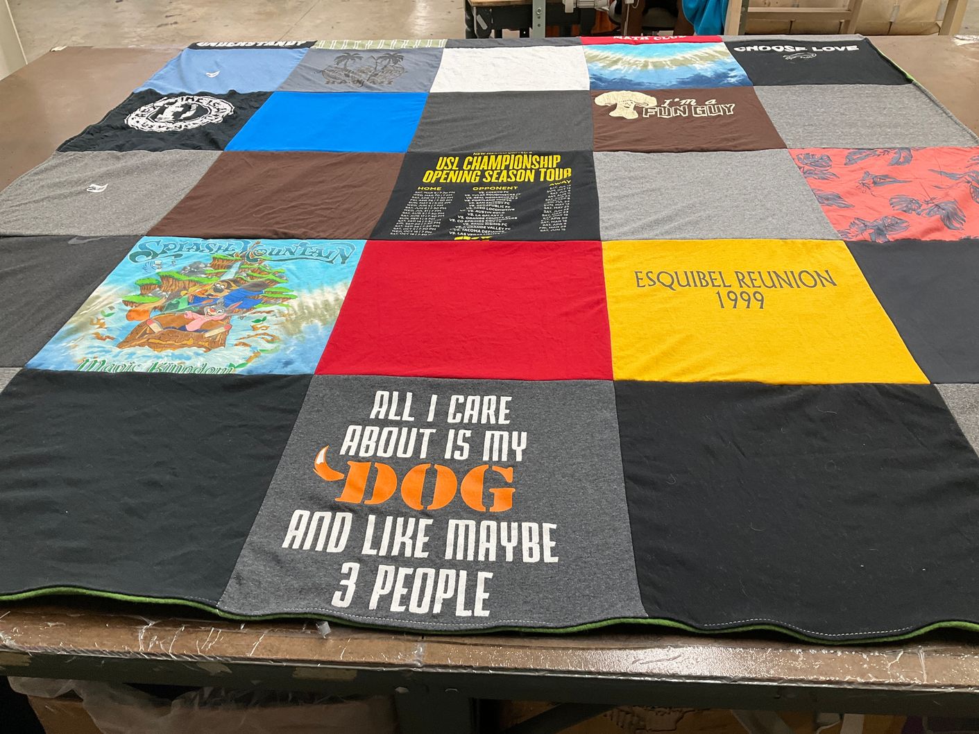 T-shirt quilt with disney, family themes by Michelle from NM