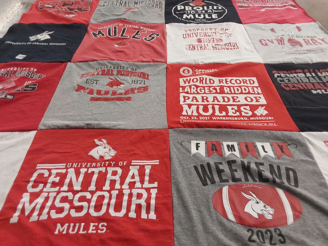 T-shirt quilt featuring mules by Debbie from MO