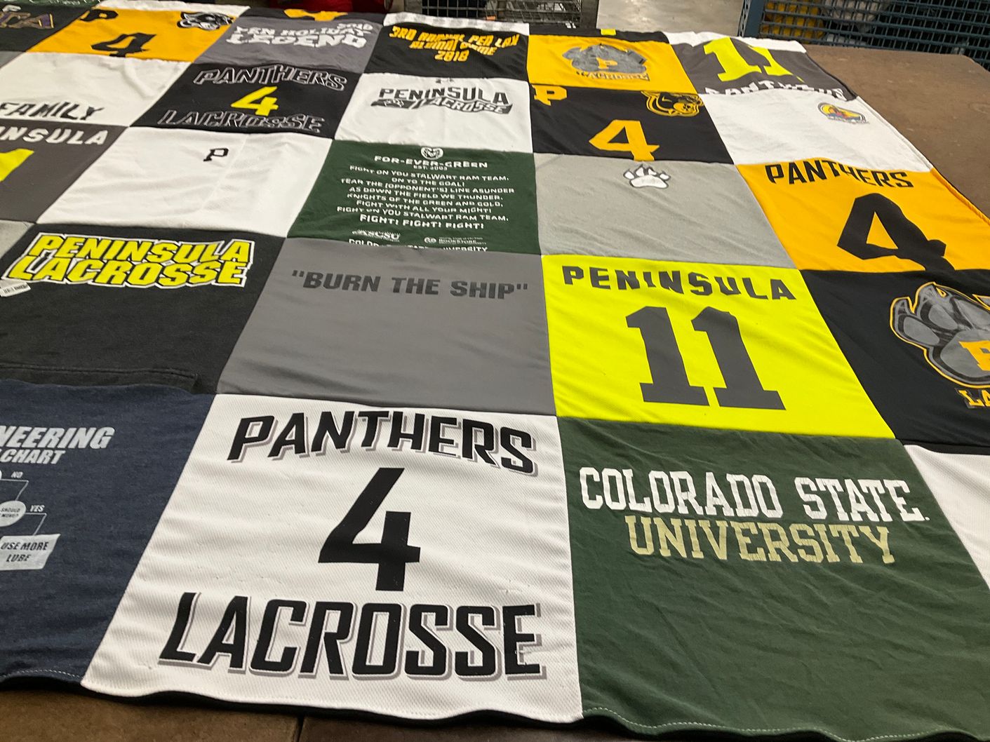 T-shirt quilt featuring panthers by Fiona from CO