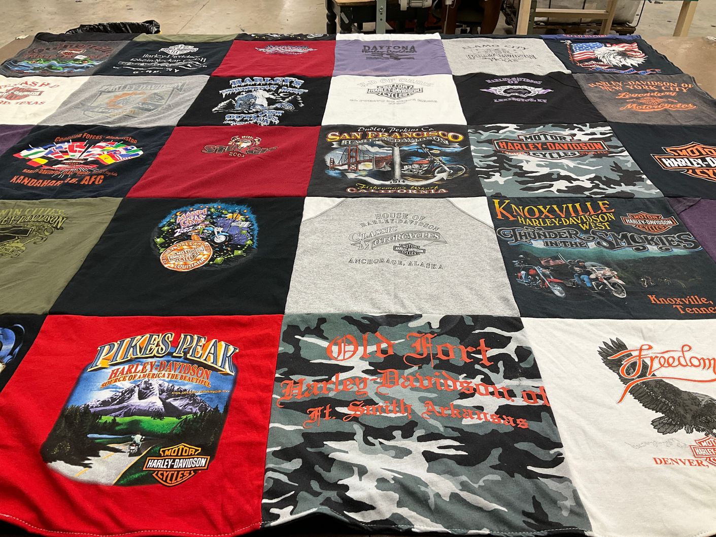 T-shirt quilt with motorcycles, biking themes by Terri from TN