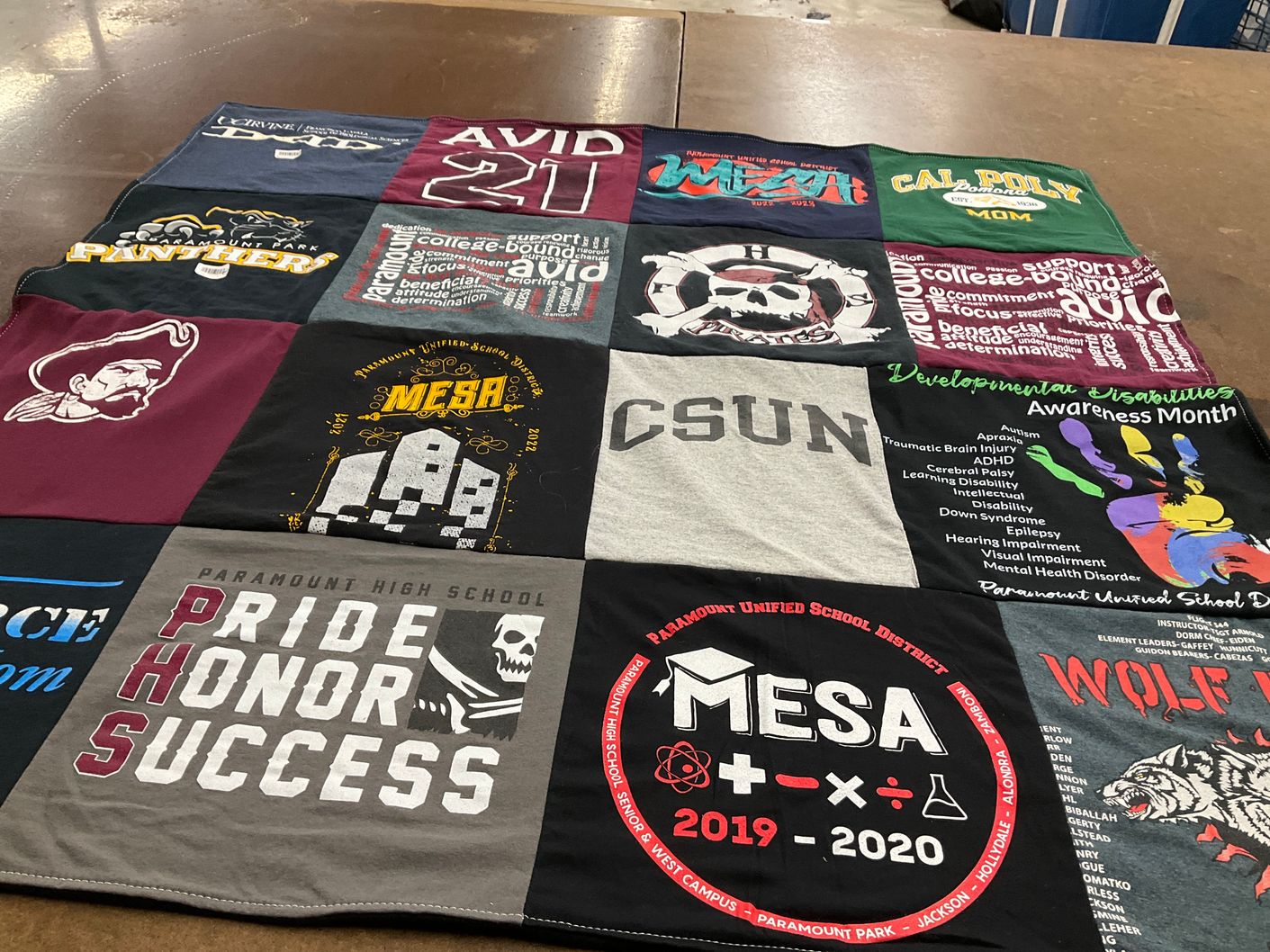 T-shirt quilt featuring panthers by Nadya from CA