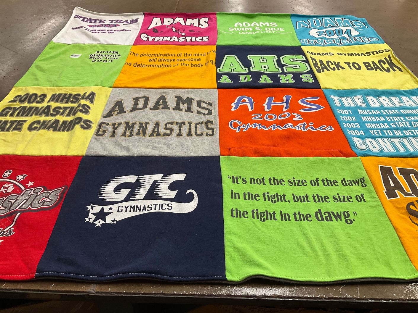 T-shirt quilt featuring adams gymnastics by Ronanne from MI