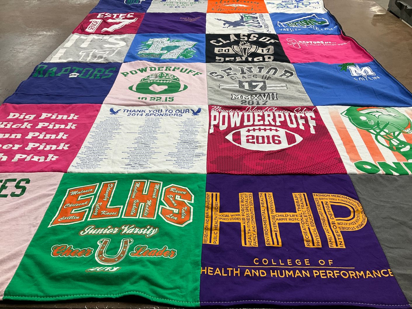 T-shirt quilt featuring raptors by Janice from NC