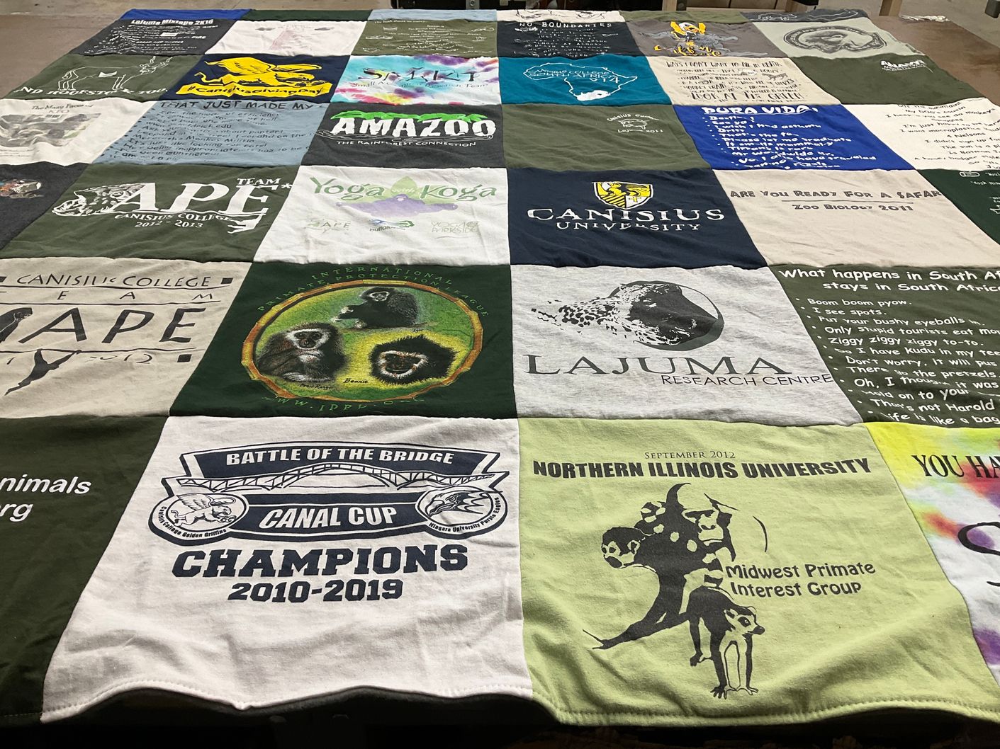 T-shirt quilt from canisius university, northern illinois university by Susan from NY