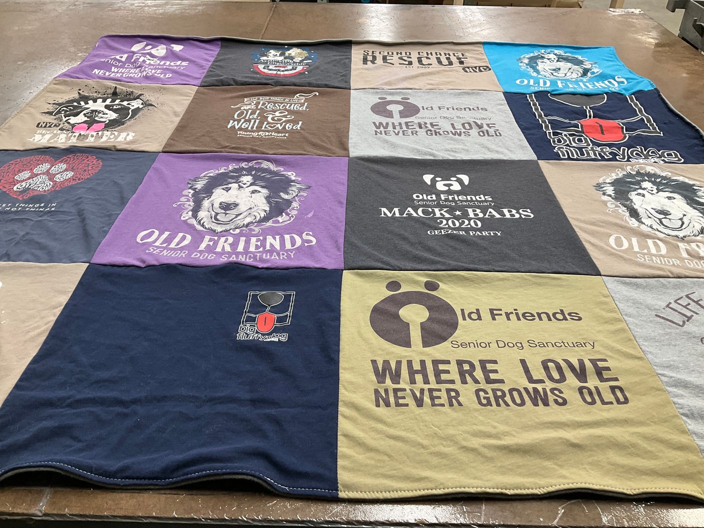 T-shirt quilt with animal rescue, dog adoption themes by Faye from MA