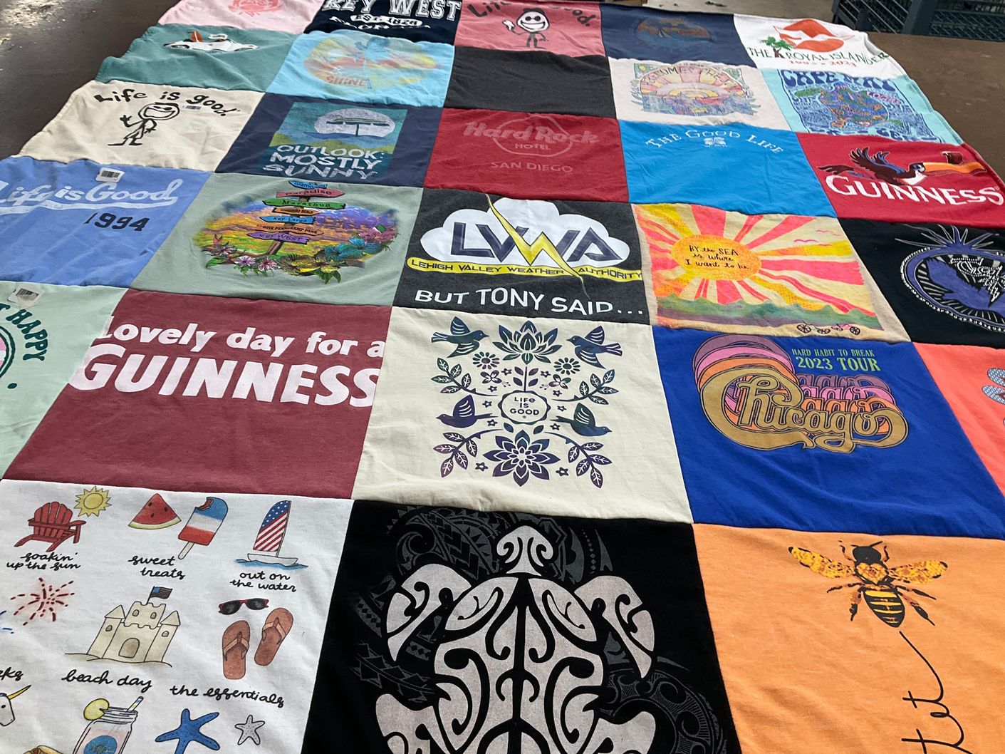 T-shirt quilt with travel, beach life themes by Debra from PA