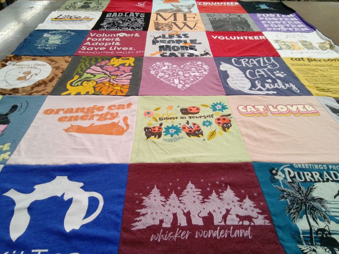 T-shirt quilt with cats, animal welfare themes by Shannon from DC