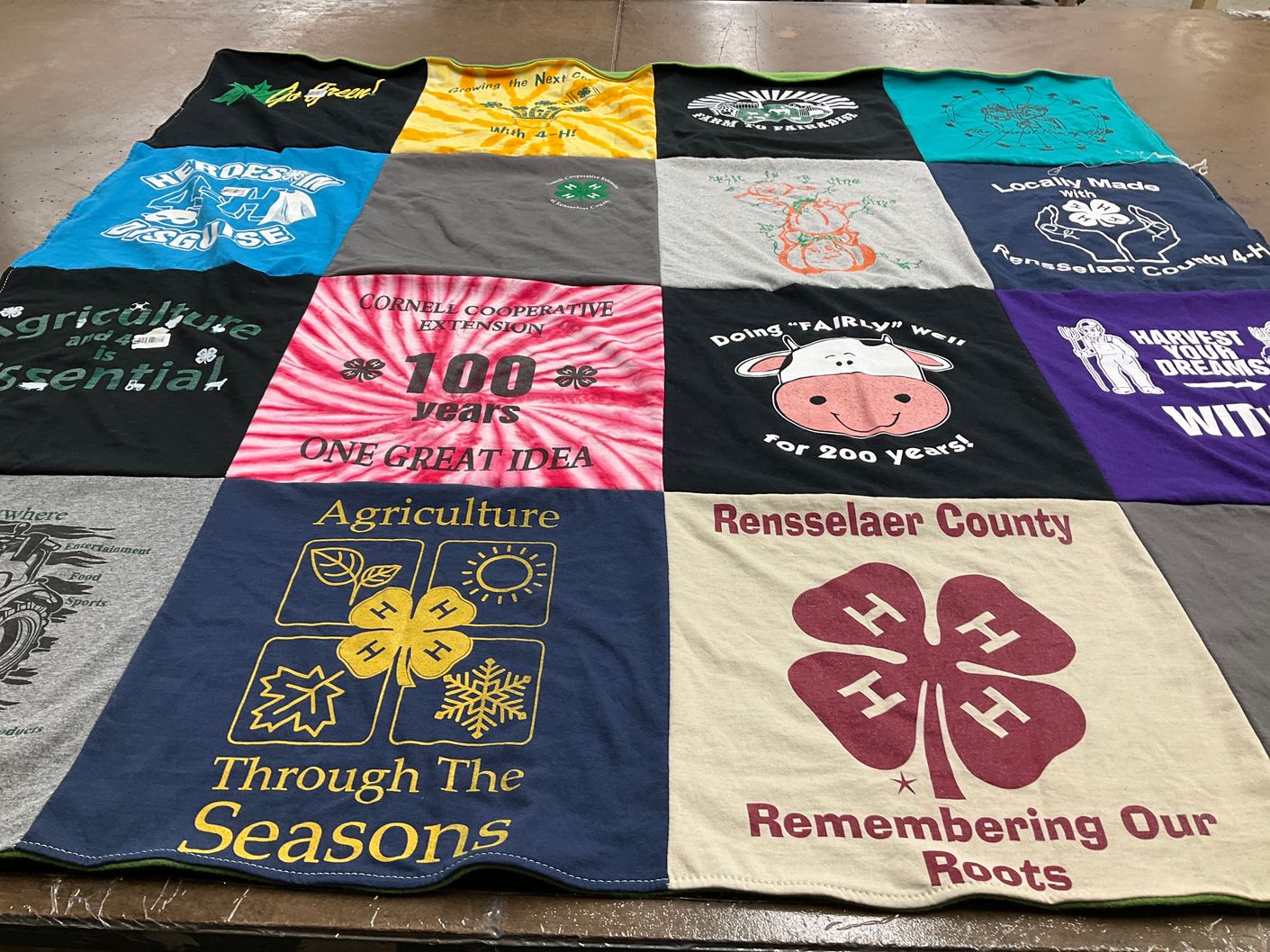 T-shirt quilt with agriculture, community service themes by Kandis from NY