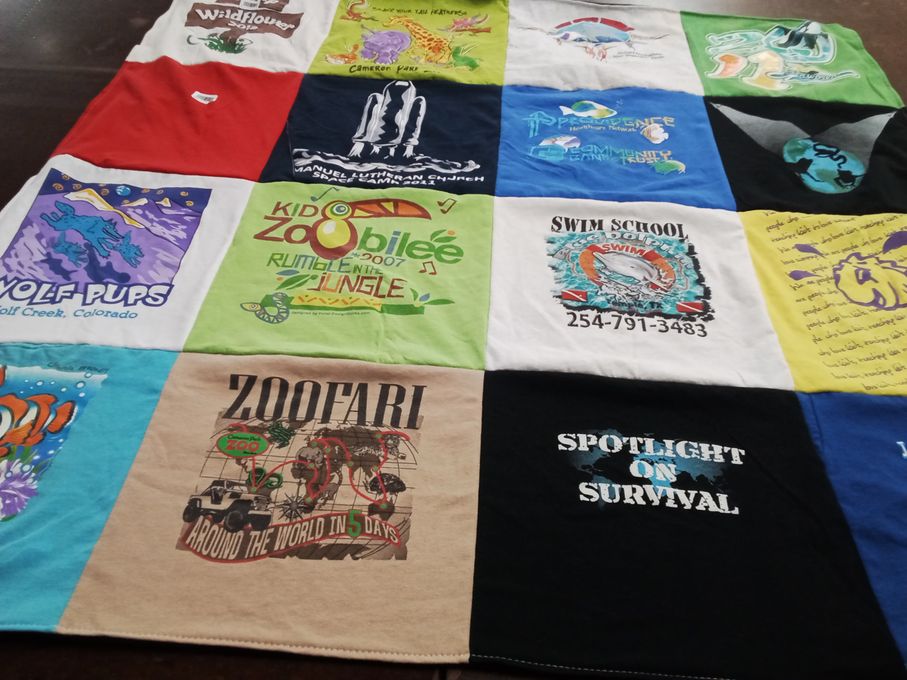 T-shirt quilt with swimming, wildlife themes by Terri from TX