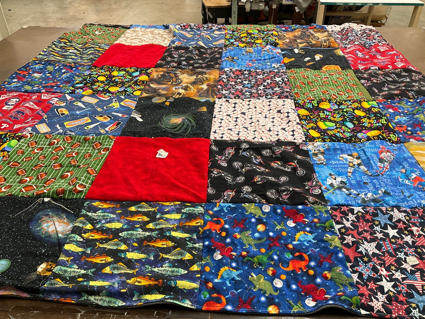 T-shirt quilt with sports, nature themes by Lexi from NJ