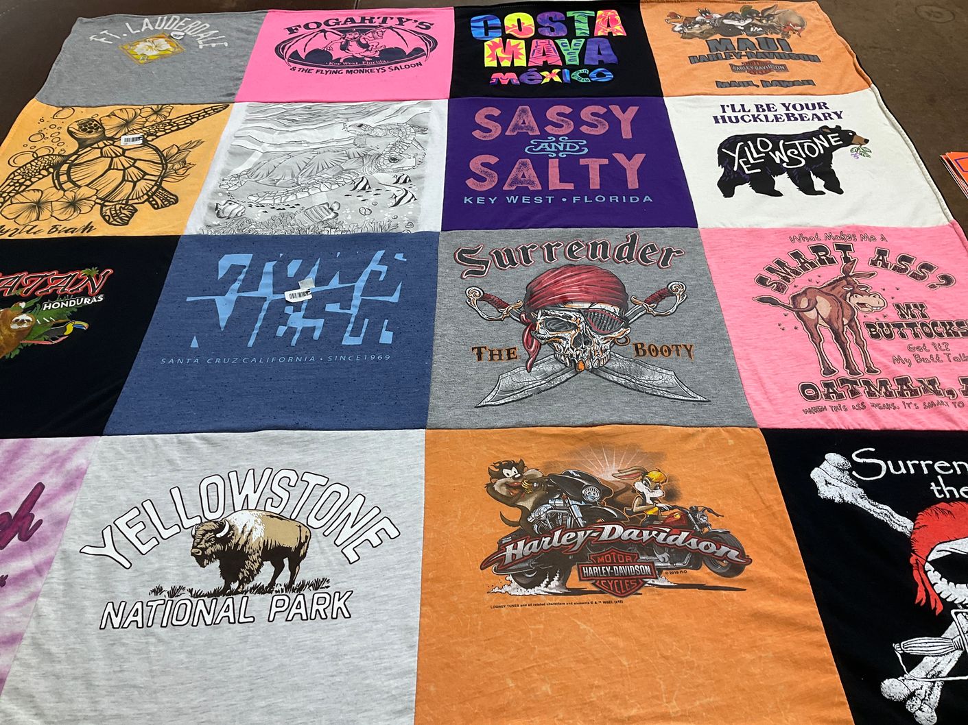 T-shirt quilt with travel, nature themes by Lisa from AZ