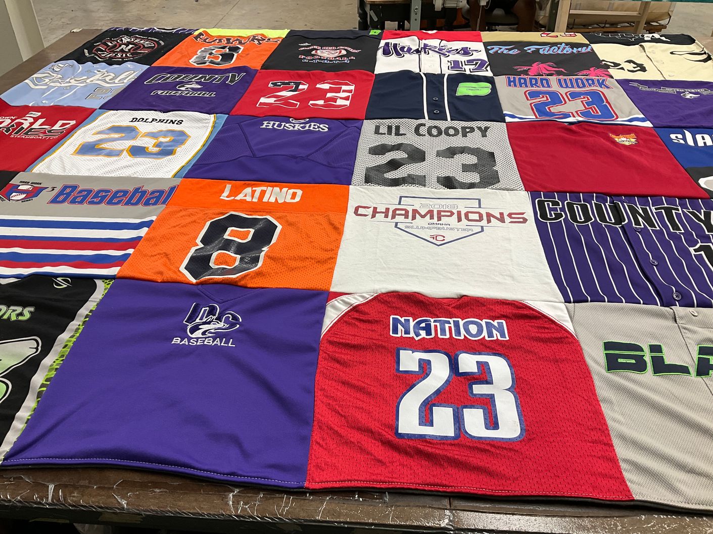 T-shirt quilt featuring dolphins, huskies by Shannon from CO