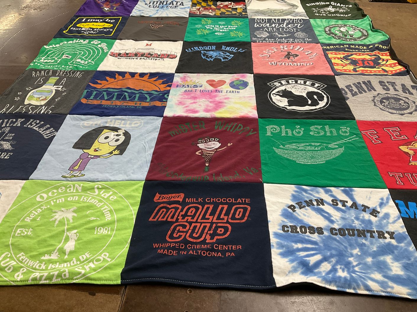 T-shirt quilt from penn state university by Kathryn from MD
