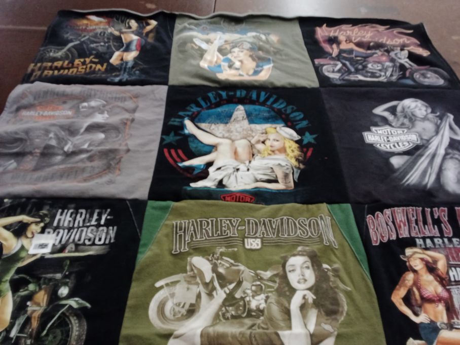 T-shirt quilt with motorcycles, bikes themes by Lisa from TN