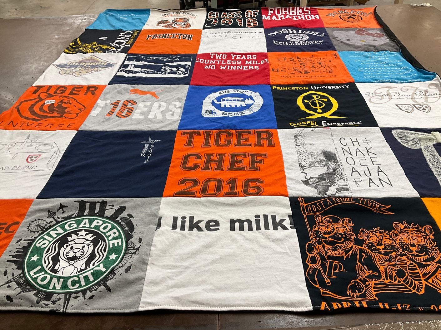 T-shirt quilt from princeton university by Briana from ID