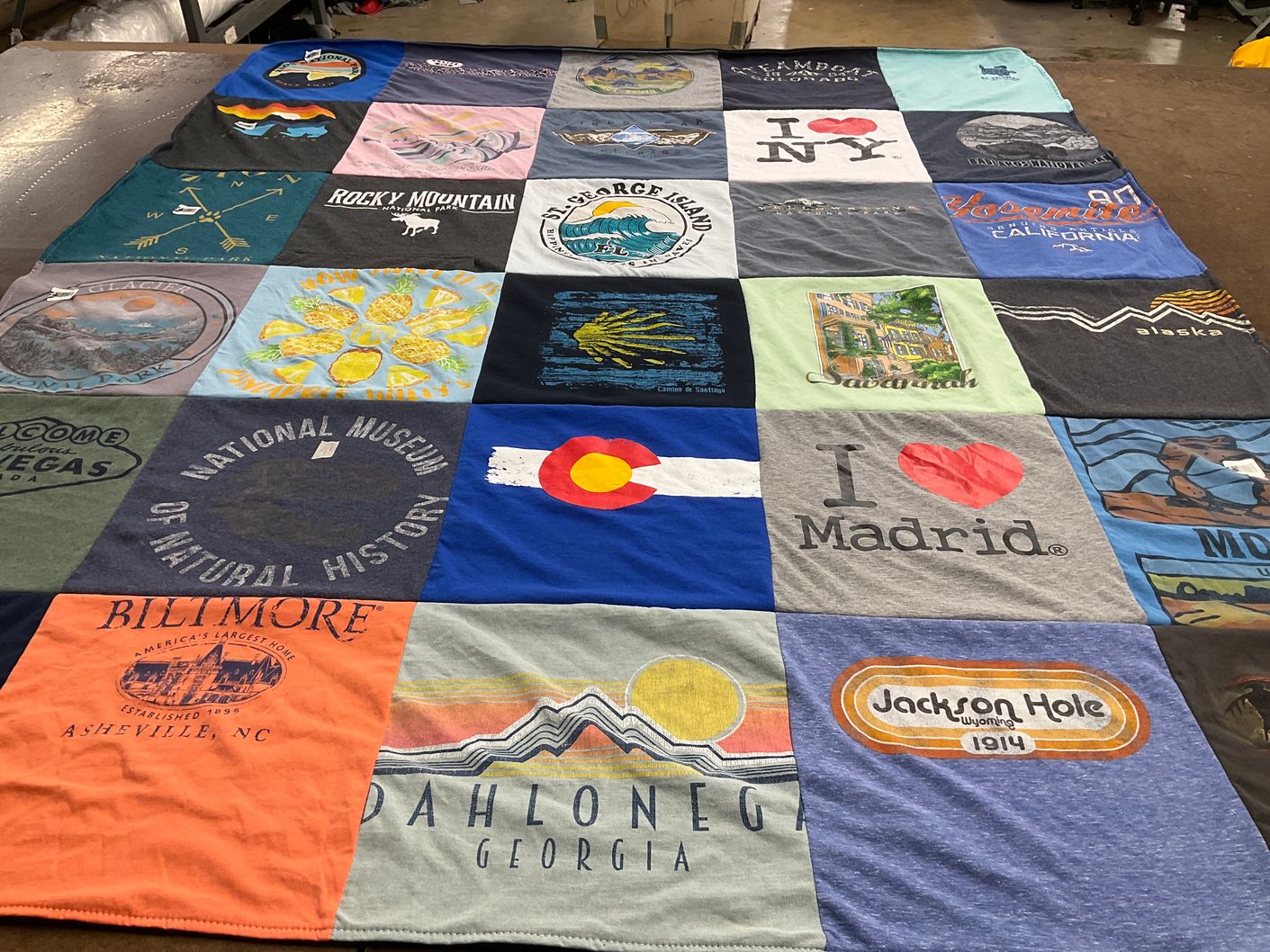 T-shirt quilt with travel, nature themes by Carilyn from GA