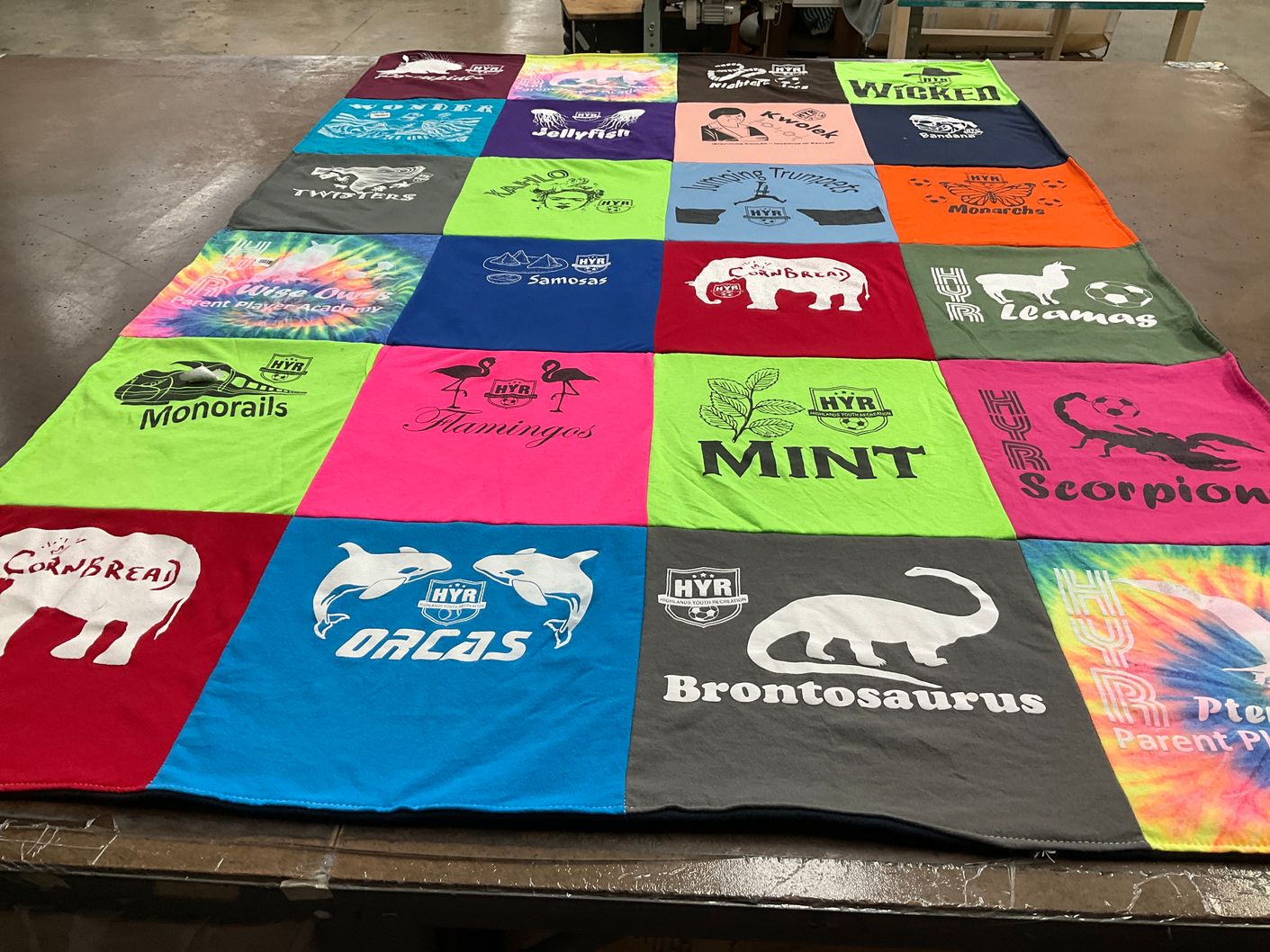 T-shirt quilt by Lisa from KY