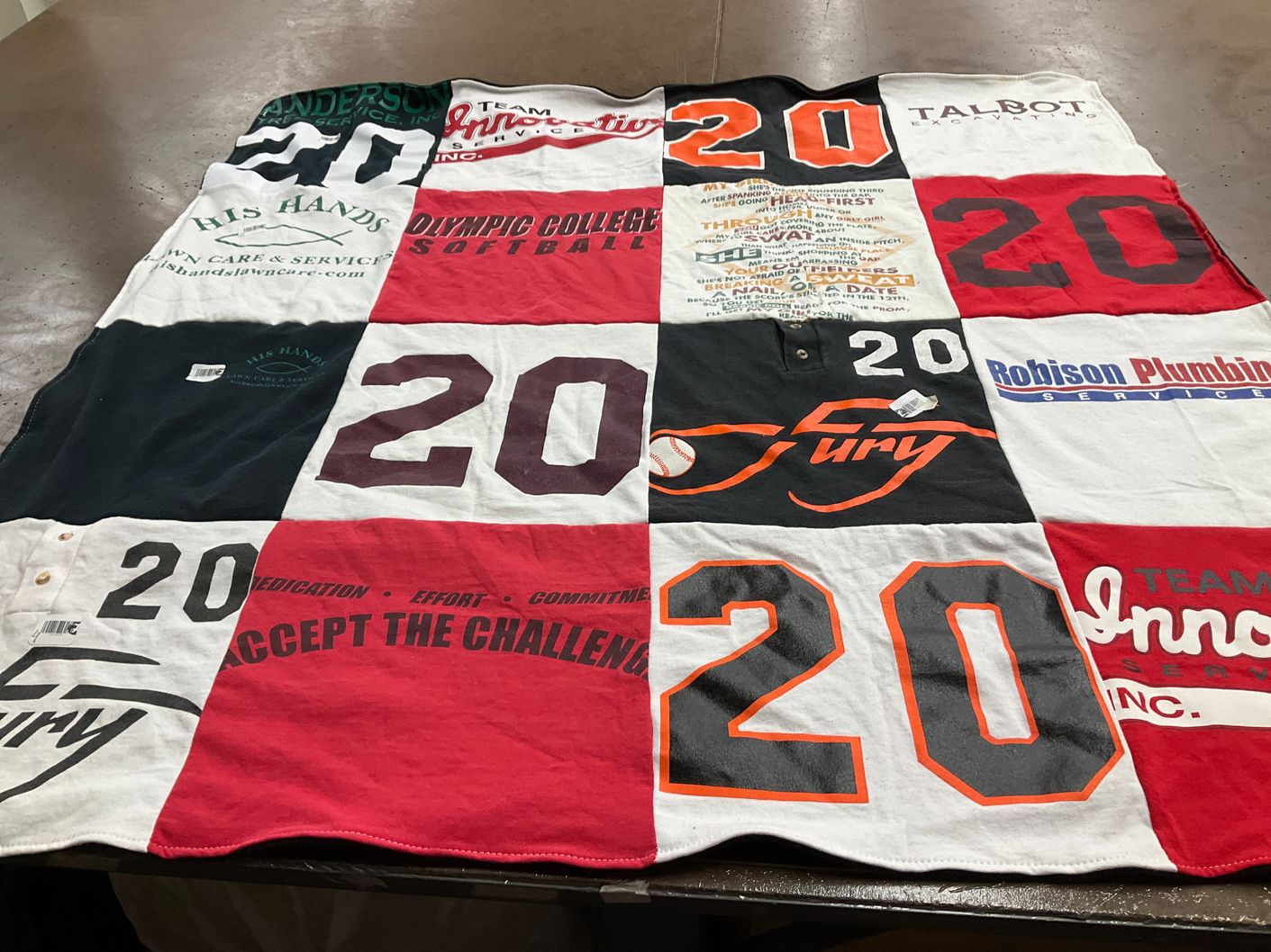 T-shirt quilt featuring fury by Cindy from WA
