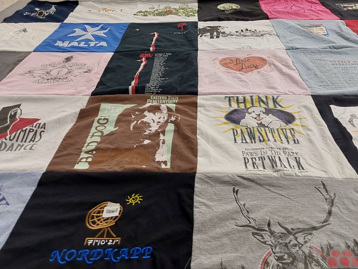T-shirt quilt with animal welfare, dance themes by Mary from NY