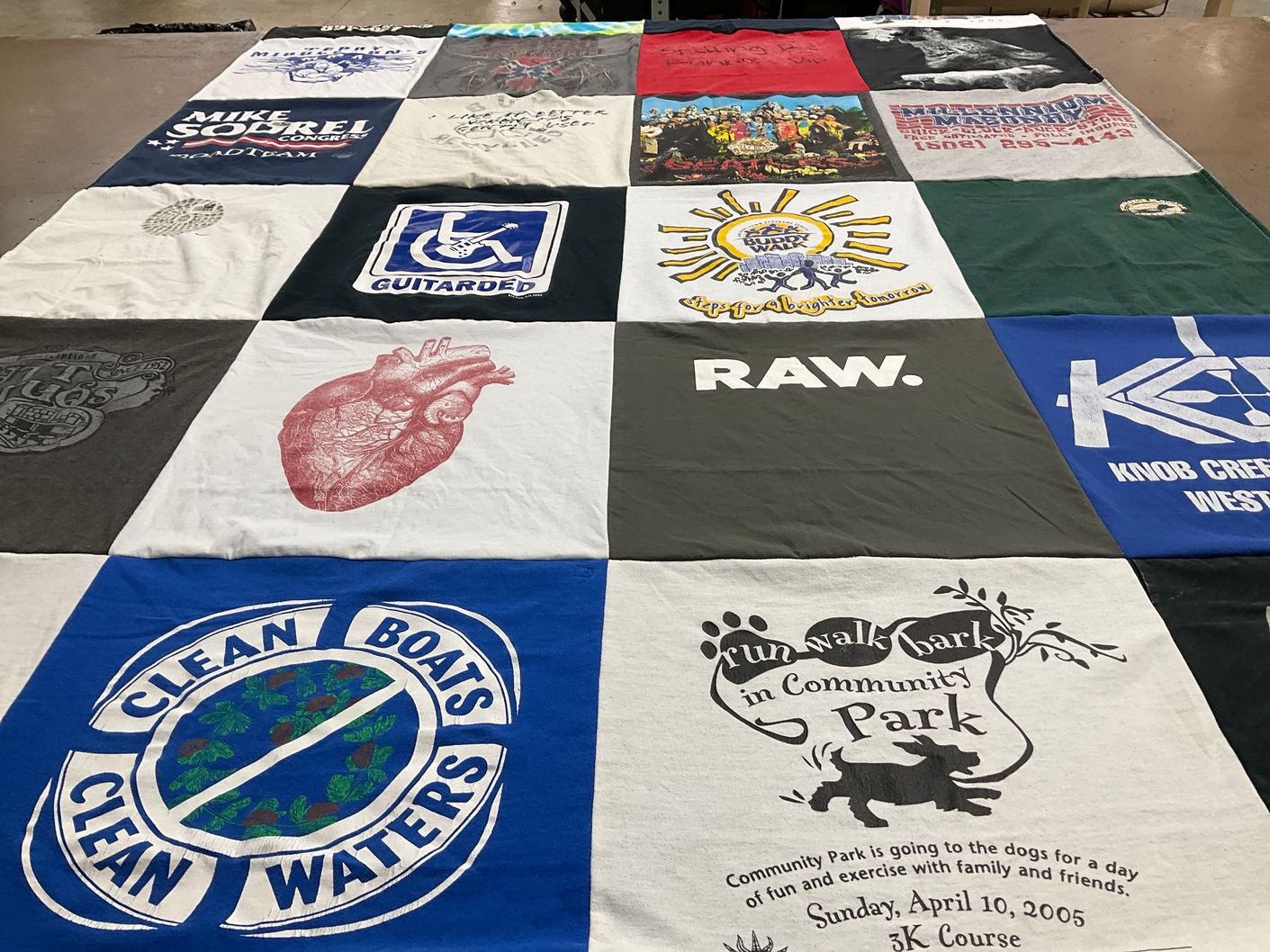 T-shirt quilt with environmental, community themes by Sarah from IN