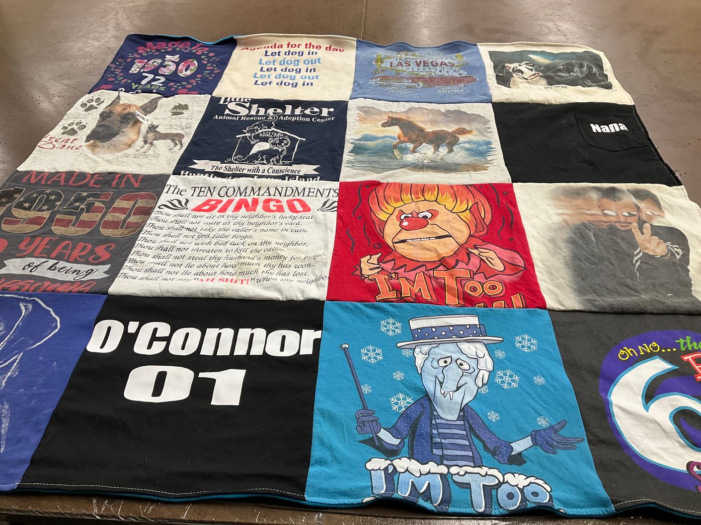 T-shirt quilt with animal rescue, dogs themes by Colleen from NY