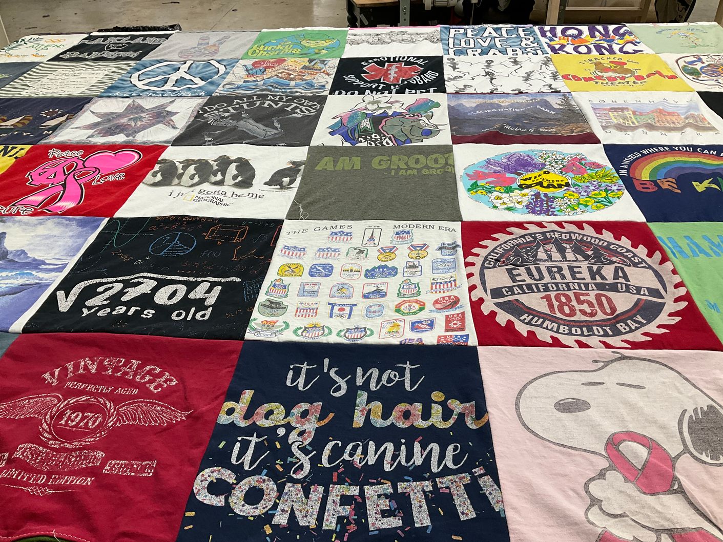 T-shirt quilt with art, nature themes by Tracy from IL